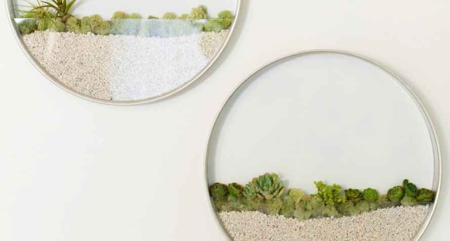 Kim Fisher, Circular Planters, wallhanging planters, hanging indoor garden, round wall planters, transparent planters for walls, wall terrariums